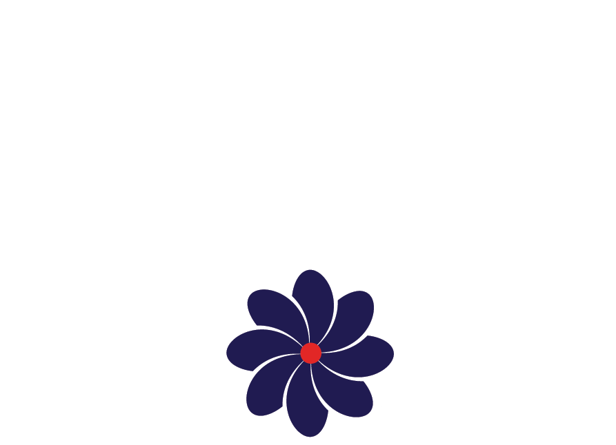 Nova Papers